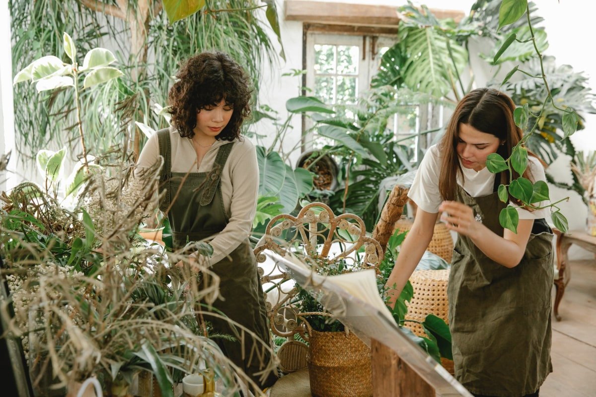 You are currently viewing The benefits of houseplants